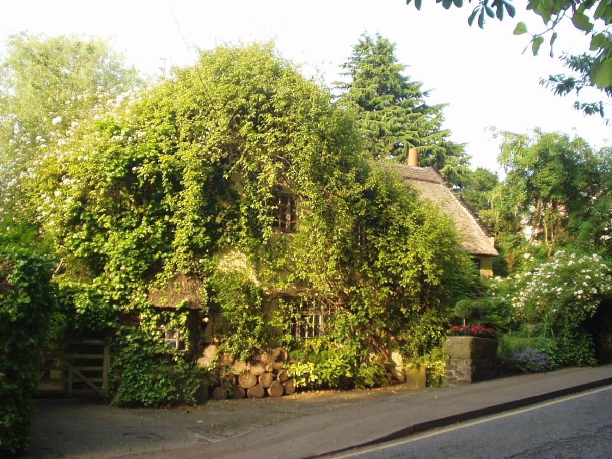Wizards Thatch Luxury Suites 앨더리에지 외부 사진